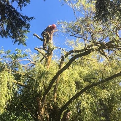 Vert Expert, Elagueur à La Chapelle-Saint-Laud