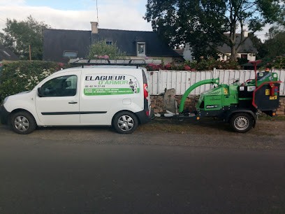 SARL élagueur d'armor, Elagueur à Plouha