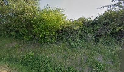 Dessouch' Arbres, Elagueur à Coufouleux