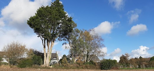 Arbres-Eco, Elagueur à Plabennec