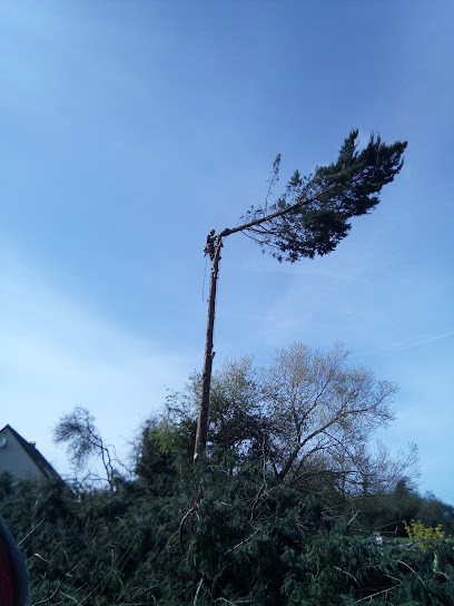 Canopéa Élagage, Elagueur à Souleuvre en Bocage