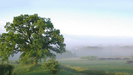 Aupres de Mon Arbre, Elagueur à Siorac-de-Ribérac
