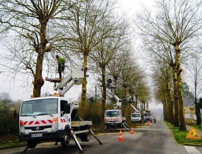 GC Service Forestier, Elagueur à Saint-Longis