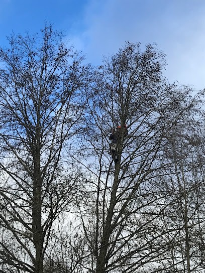 CLEMENT Elagage : élagueur 54 à Nancy spécialiste en abattage d'arbres, en dessouchage arbre et haie ainsi qu'en taille de haie dans la Meurthe-et-Moselle, Elagueur à Messein