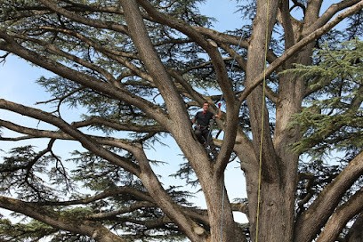 Jérôme FERRÉ ÉLAGAGE, Elagueur à Nort-sur-Erdre