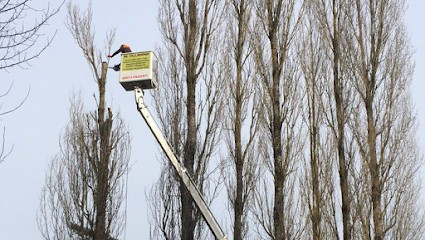 Pro-Élagages établissement OLLMANN, Elagueur à Vesoul