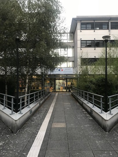Office National des Forêts ONF, Elagueur à Rodez