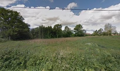 Joly Elagage, Elagueur à Marsonnas