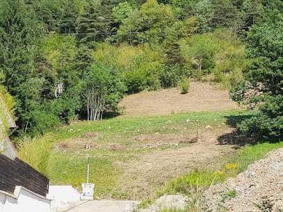 Gaillard Elagage : Travaux Élagage/Travaux Forestier/Débroussaillage/Paysagiste/, Elagueur à Vaulnaveys-le-Haut