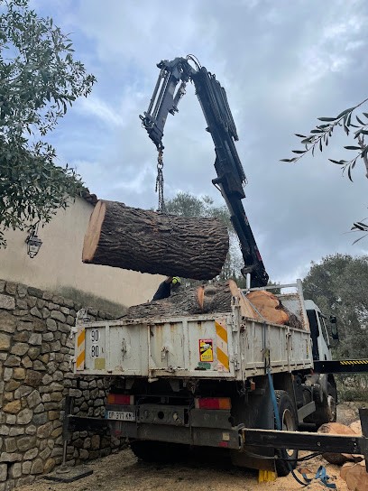 Élagage Abattage Tomasini Environnement, Elagueur à Ollioules