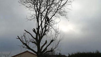 Elagage Arbres Et Cie, Elagueur à Senillé-Saint-Sauveur