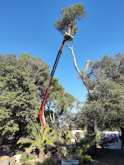 EasyLag, Elagueur à Roquebrune-sur-Argens