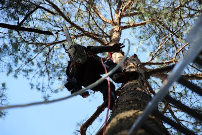 Auprès De Ton Arbre, Elagueur à Ploemel