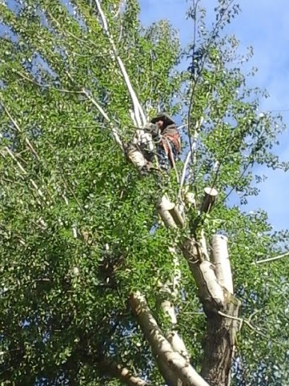 Etablissement christopher, Elagueur à Ponchon