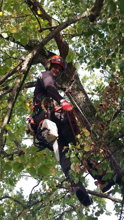 Levert Elagage, Elagueur à Neuville-aux-Bois