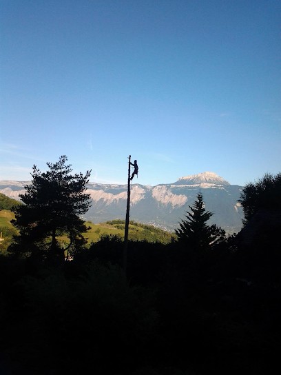 FIRMONT Arnaud élagage Oisans, Elagueur à Mizoën