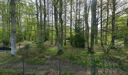 Office National des Forêts (O.N.F), Elagueur à Sury-aux-Bois