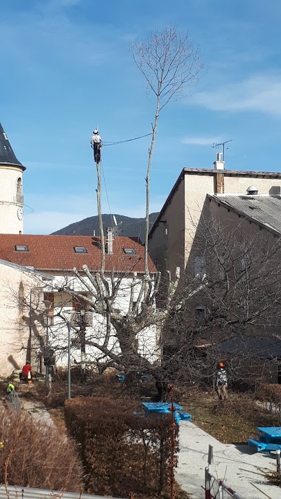 montoarbres, Elagueur à Sigoyer