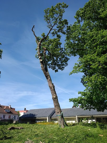 ARBOTECH Élagage, Elagueur à Rânes