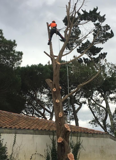 LACAZE Elagage S.A.R.L, Elagueur à Soustons