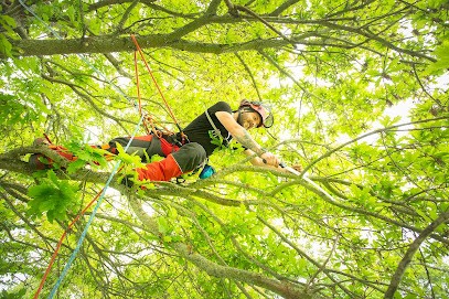 Accr 'O' Arbres, Elagueur à Saint-Agathon