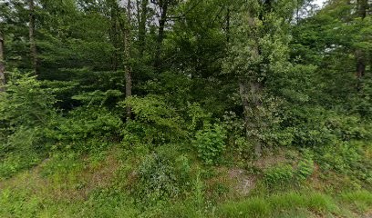 Elag en Tête - Homeservice33.fr, Elagueur aux Artigues-de-Lussac