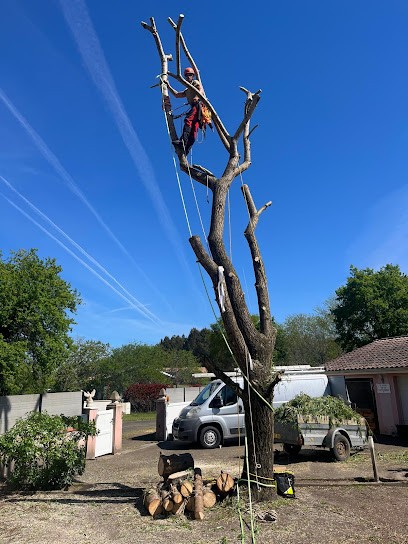 MJ Arborist 40 Grimpeur Élagueur, Elagueur à Montsoué