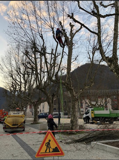 Auprès De Mon Arbre Perrillat Bottonet Axel, Elagueur à Saint-Jean-le-Vieux