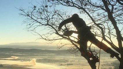 Élagaltitude 44, Elagueur à Nort-sur-Erdre