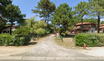 Office National des Forêts, Elagueur à Mimizan