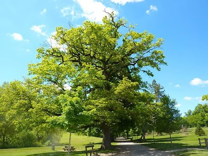 L'Arbre Au Coeur Du Paysage, Elagueur à Mende