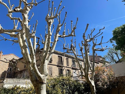Royal Élagage, Elagueur à Marseille 05
