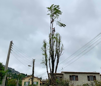 Danielou Elagage, Elagueur à Vence