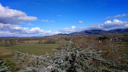 Dugrais Elagage, Elagueur à Mailly-le-Château