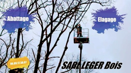 Léger Bois, Elagueur à Saint-Laurent-la-Conche