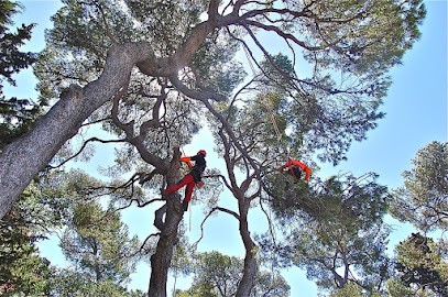 Protec-Arbres, Elagueur à Puget