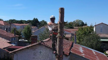 Arborescence elagage, Elagueur à Vriange