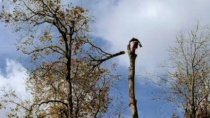 Drochon Cédric élagage, Elagueur à Péault