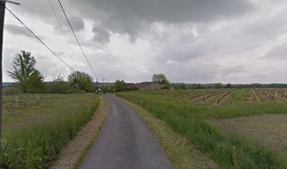 Marroncle Guillaume, Elagueur à Pineuilh