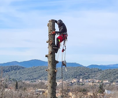 Élagage Gard T2A : Entretien De Jardin Et Abattage D'arbre 30, Elagueur à Rousson
