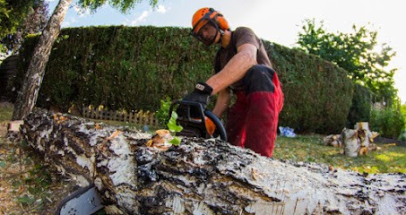 Parisot Castaignet SARL, Elagueur à Montgeron