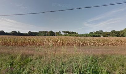 Coureau, Elagueur à Soustons