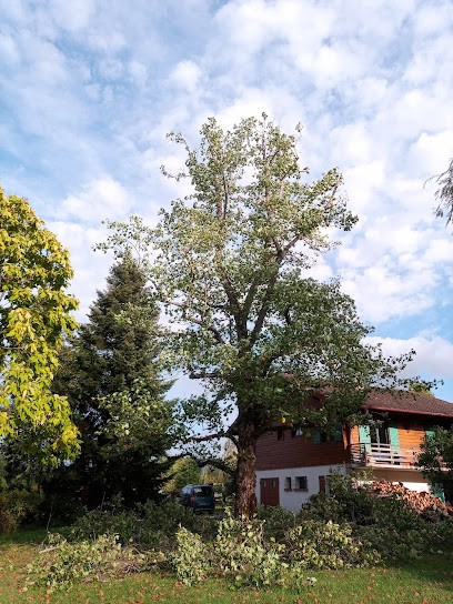 L'Ecureuil De Vos Jardins, Elagueur à Macornay