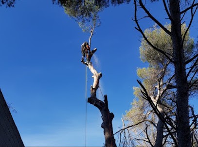 B.N Élagage, Elagueur à Sallaumines