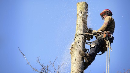Vignau Philippe, Elagueur à Neussargues en Pinatelle