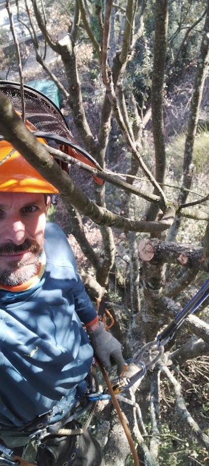 JP Garambois Elagage, Elagueur à Vinon-sur-Verdon