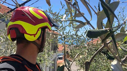 Dahu Azur: Élagage, Abattage, Débroussaillage, Terrassement., Elagueur à Vence
