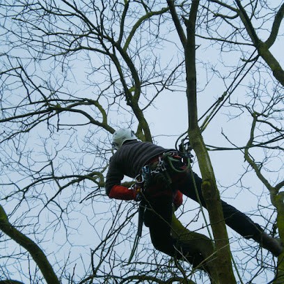 Arbor Élagage - à Lille Et Sa Métropole, Elagueur à Sainghin-en-Mélantois