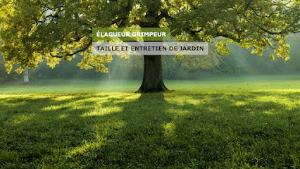 Eugène Elagueur, Elagueur à Plaisir