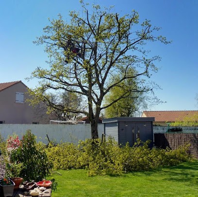 Vus D'en Haut, Elagueur à Saint-Brevin-les-Pins